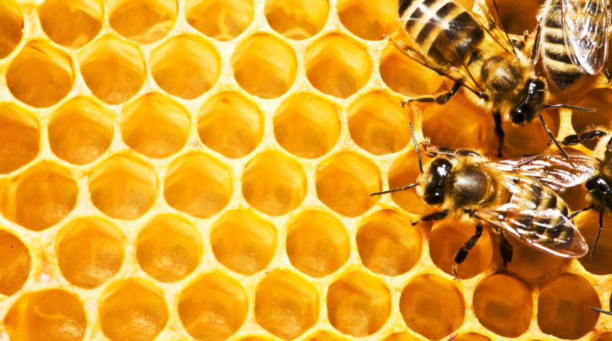 7 Benefits of Honey