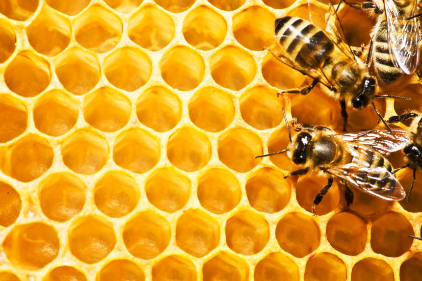 7 Benefits of Honey