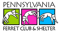 Featured Charity: The Pennsylvania Ferret Club and Shelter
