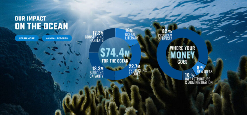 Featured Charity: The Ocean Foundation
