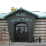 Featured Charity: Noah’s Animal House